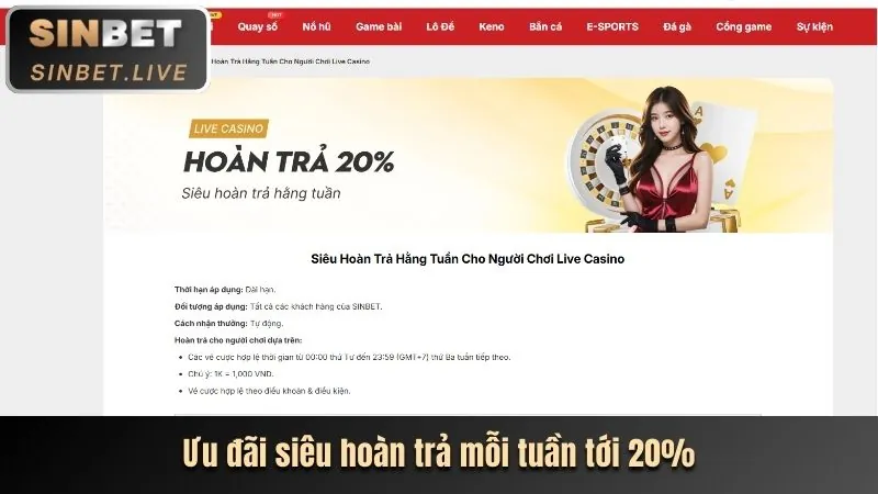 Các tính năng chính của ứng dụng 49bet